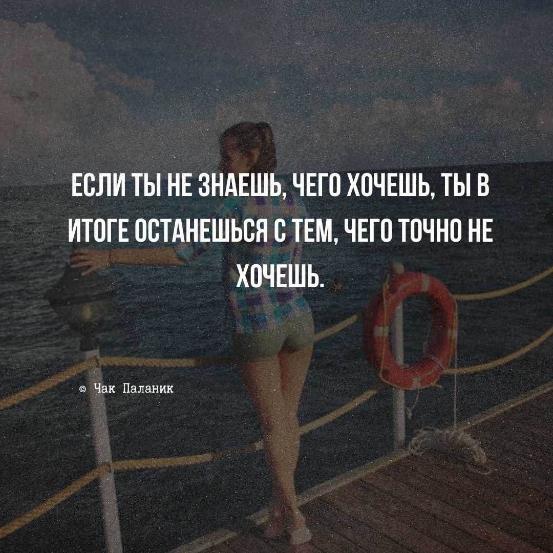 Sted.d, биография и музыкальное творчество — рувики