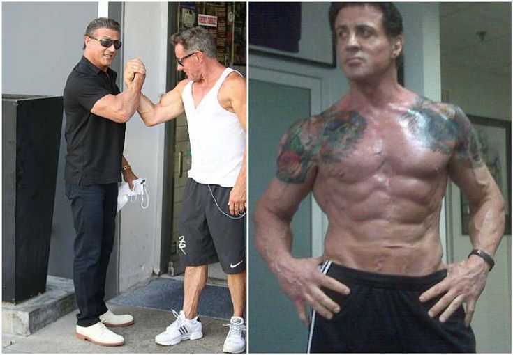 Сильвестр
       
            сталлоне
      
              / 
            sylvester stallone