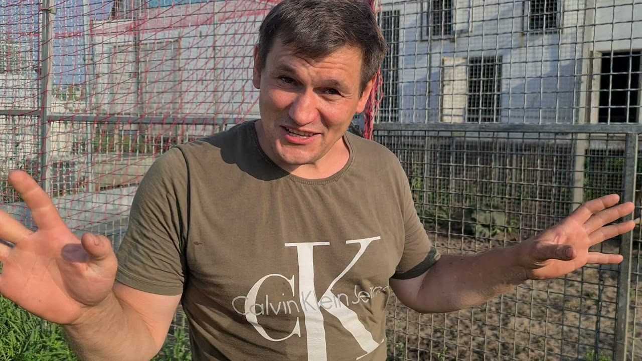 Олесь Петрович биография образование блог Ранние годы попытки стать депутатом открытие канала на Ютуб Личная жизнь жена дети интересные факты
