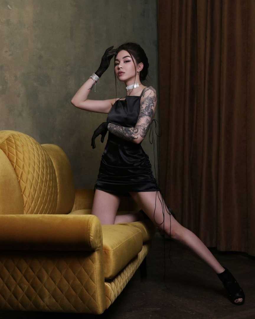 Diana rice (diana shoka): biography of a blogger and streamer
