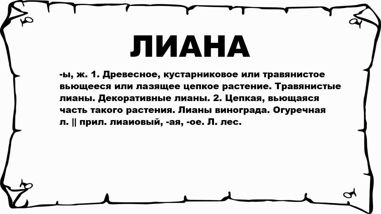 Личная жизнь елены ханги: единственный муж игорь минтусов
