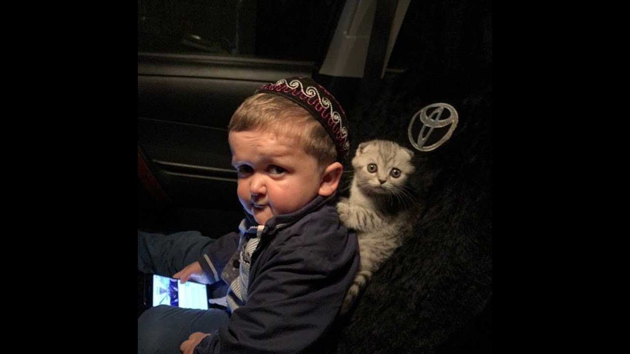Кто такие хазбик и абдузорик