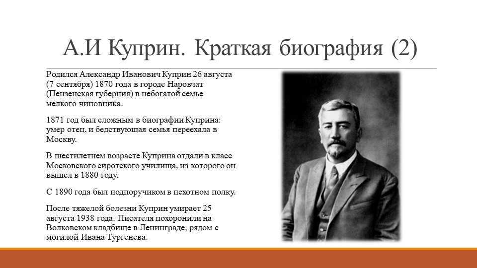 Кто такая старикова т в и чем она занимается: биография