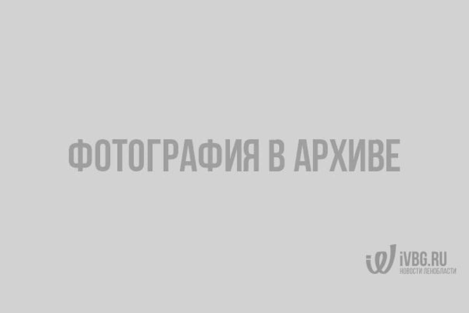 Дарья погадаева - биография, новости, личная жизнь