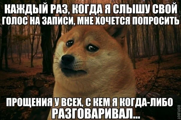 Сергей горошко - биография » новости кино