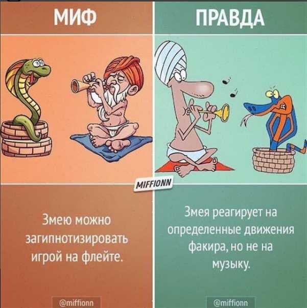 Vspak (саша чацкий): биография и фото исполнителя, возраст, бывшая девушка