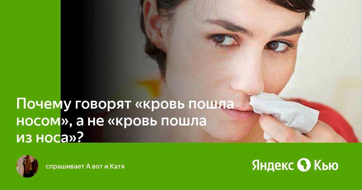 Антон ватлин биография. bumble beezy (антон ватлин) - биография