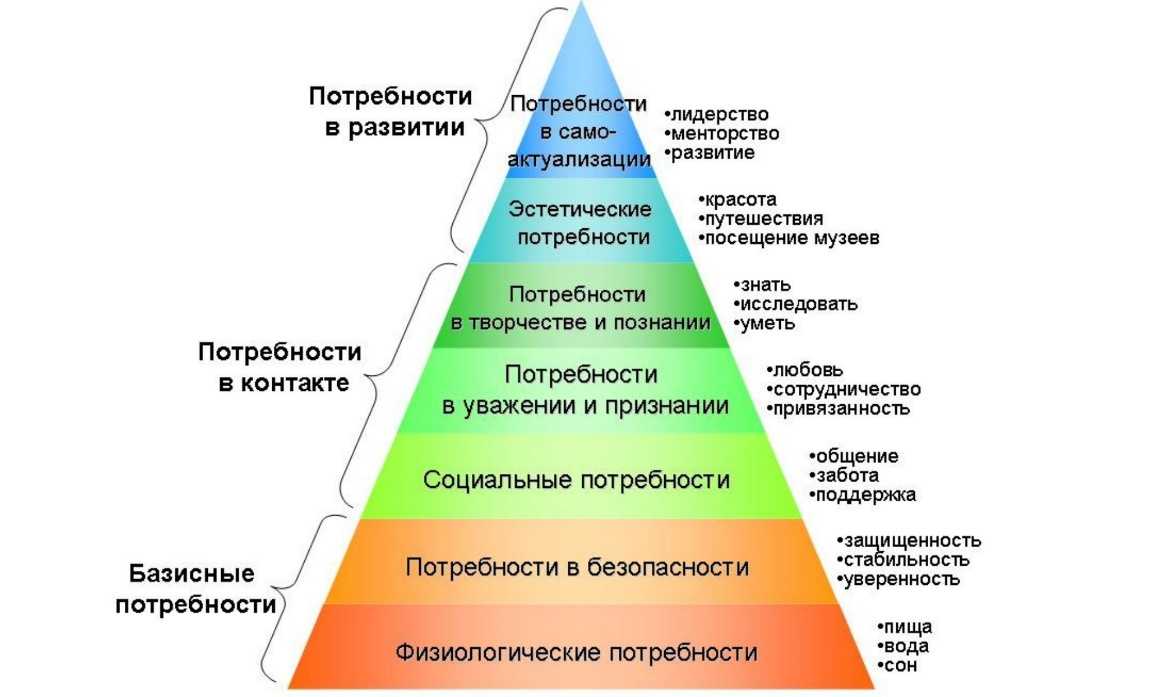 Биография исполнителя why baby